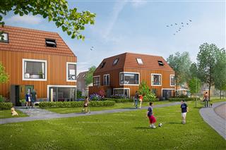 1036547_Thuiswerf.jpg